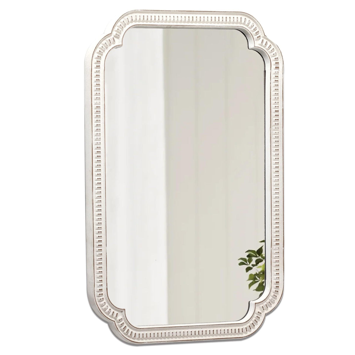 Ornate Decorative Framed Wall Mirror | Thrascher