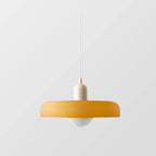 Pelfora Brass Pendant Light