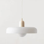 Pelfora Brass Pendant Light