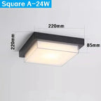 Pellora Outdoor Light