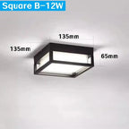 Pellora Outdoor Light