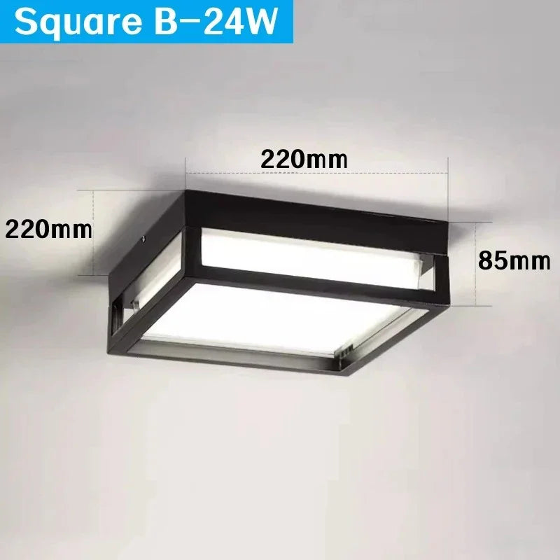 Pellora Outdoor Light