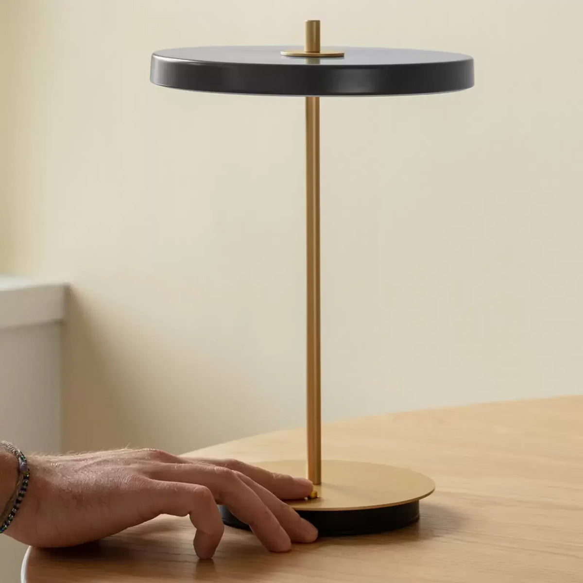Pelsyra LED Portable Lamp