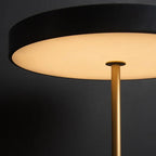 Pelsyra LED Portable Lamp