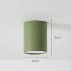 Pelvando Surface Mounted Downlight