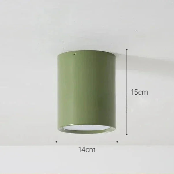Pelvando Surface Mounted Downlight