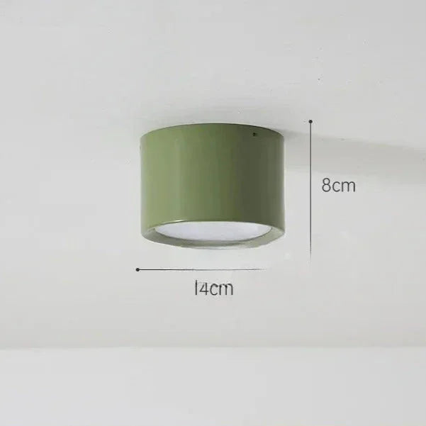 Pelvando Surface Mounted Downlight