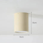 Pelvando Surface Mounted Downlight