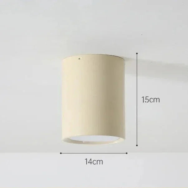 Pelvando Surface Mounted Downlight