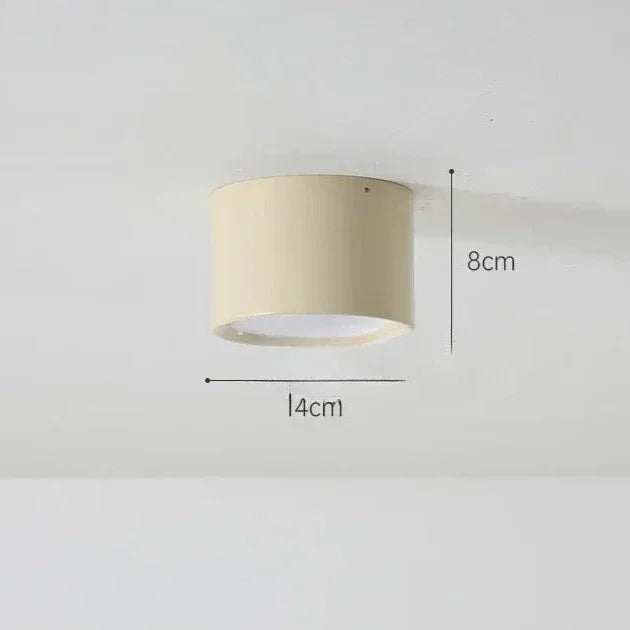 Pelvando Surface Mounted Downlight