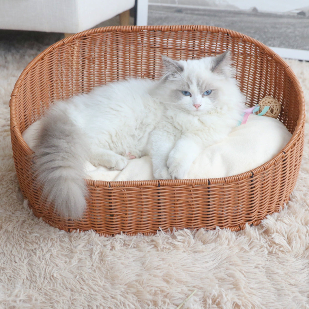 Pet Bed Soft Textile | Thrascher