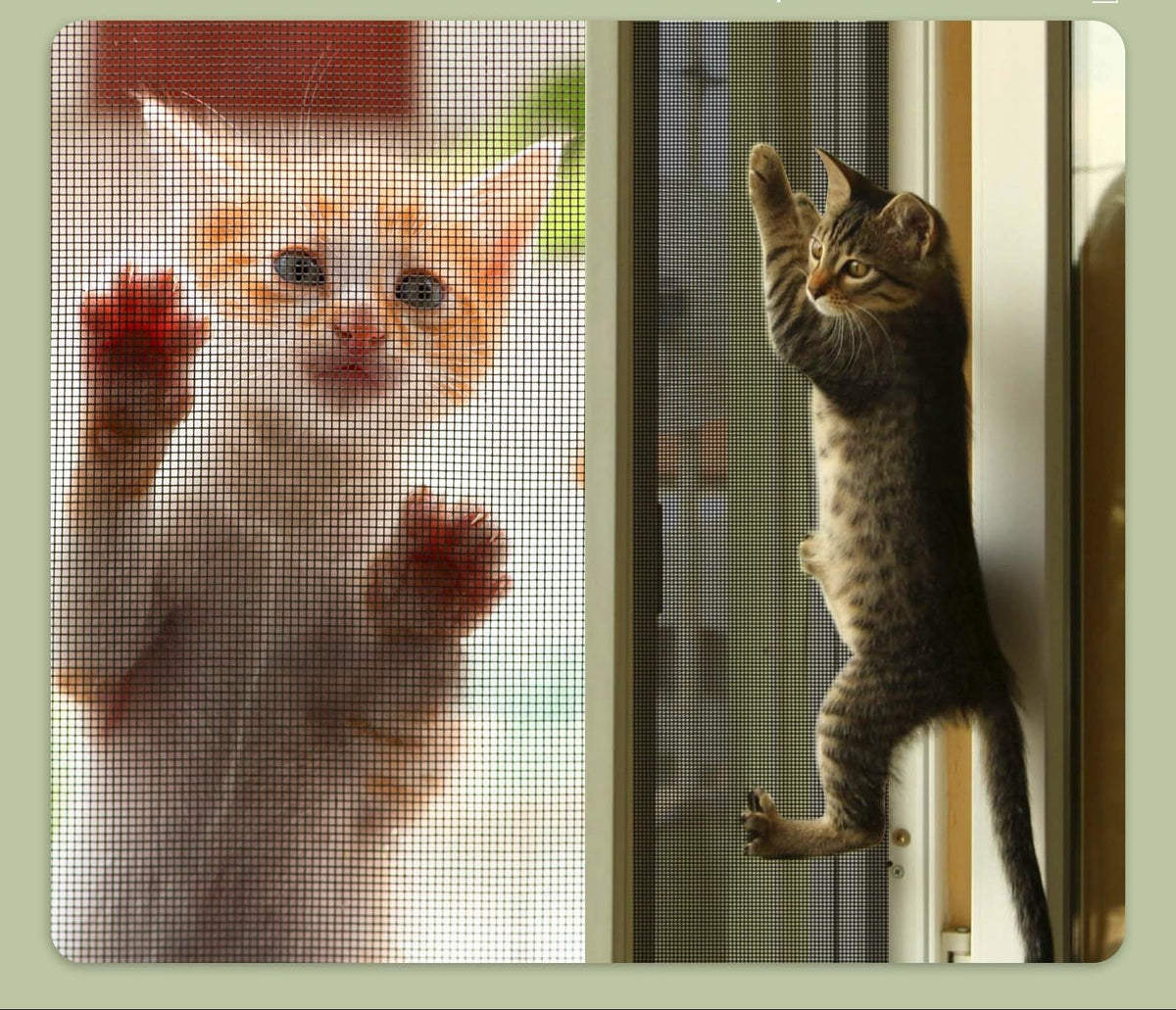 Pet Safety Screen for Doors and Windows, Tear-Resistant Mesh, view 2