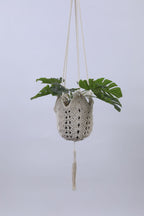 Plant Hammock Hanging Handcrafted | Thrascher