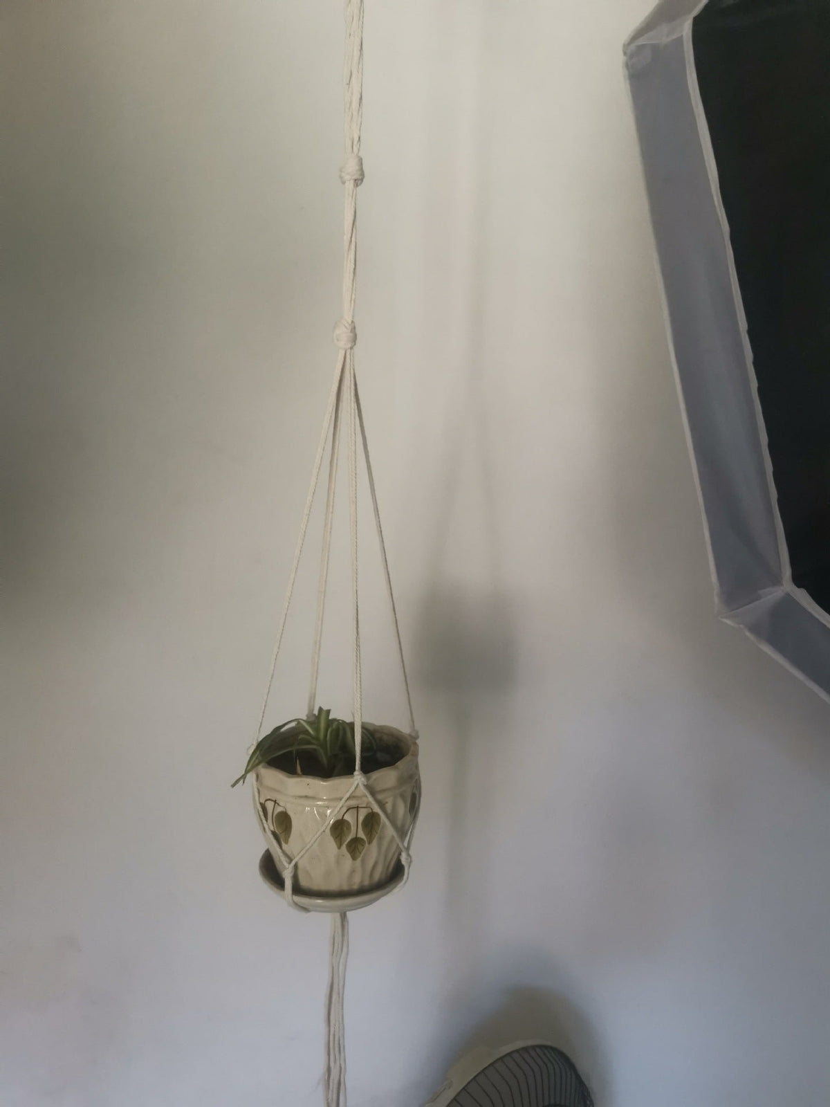 Plant-Hanging Macrame Shelf | Thrascher