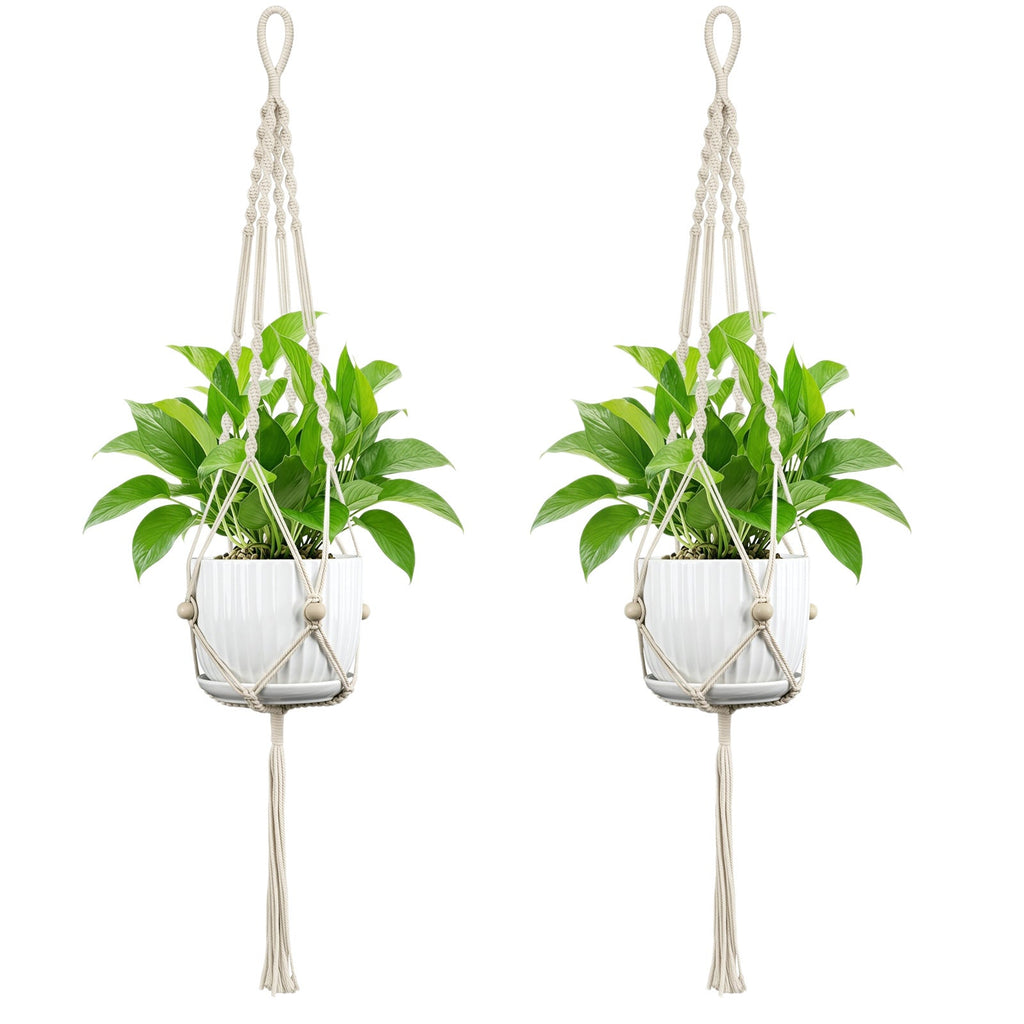 Plant Hanging Pot | Thrascher