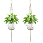 Plant Hanging Pot | Thrascher