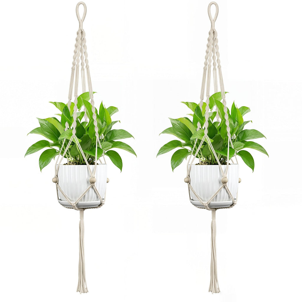 Plant Hanging Pot | Thrascher