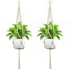 Plant Hanging Pot | Thrascher