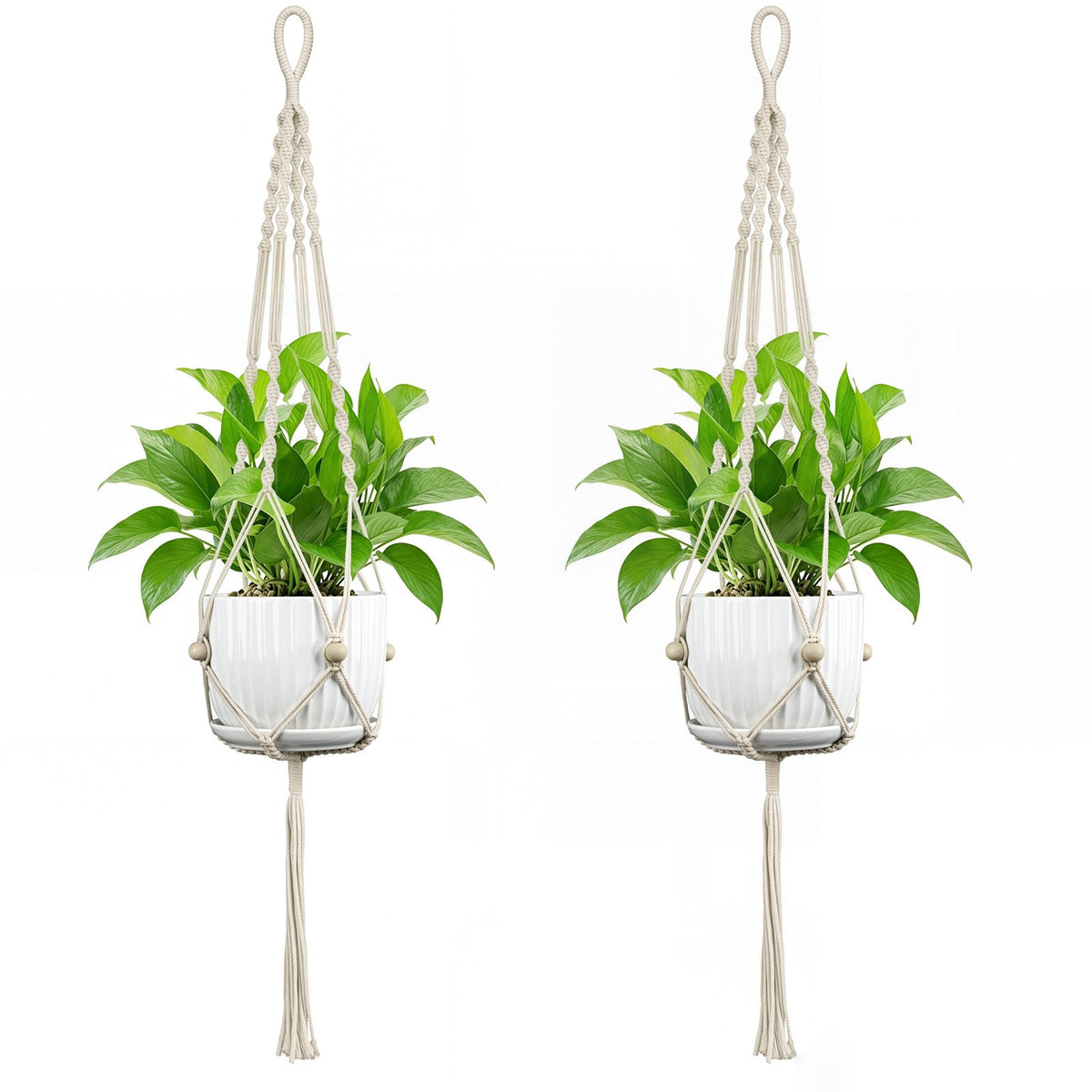 Plant Hanging Pot | Thrascher