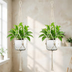 Plant Hanging Pot | Thrascher