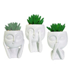 Plant Pot with Face Motif | Thrascher