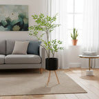 Plant Pot with Wooden Stand | Thrascher