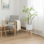 Plant Pot with Wooden Stand | Thrascher