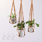 Plant Pots Suspension | Thrascher