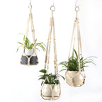 Plant Pots Suspension | Thrascher