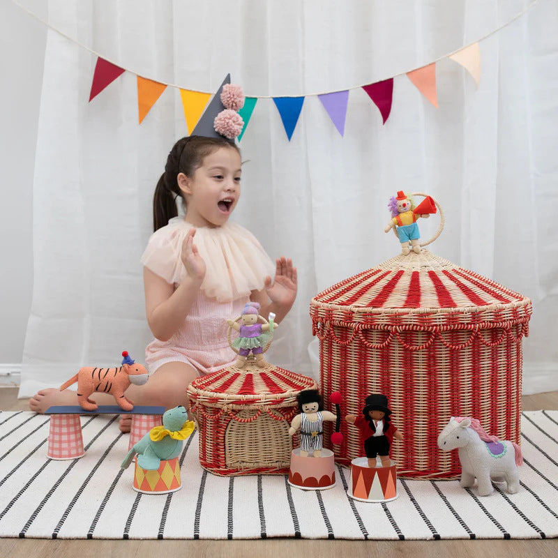 Playful Cat Basket in Circus Design | Thrascher
