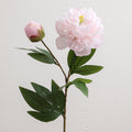 Realistic Artificial Peony | Thrascher