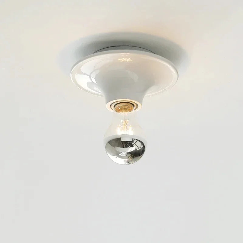 Rennosa Wall & Ceiling Lamp