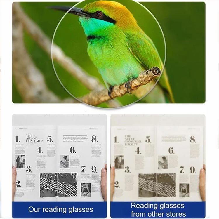 Magnetic Neck-Hanging Reading Glasses with PC Frame, AC Lenses