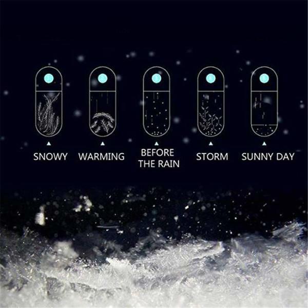 Storm Glass Weather Forecast Bottle Crystal Desktop Barometer with Wooden Base, view 2