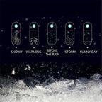 Storm Glass Weather Forecast Bottle Crystal Desktop Barometer with Wooden Base, view 2