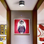 Valfeno Surface Mounted Downlight