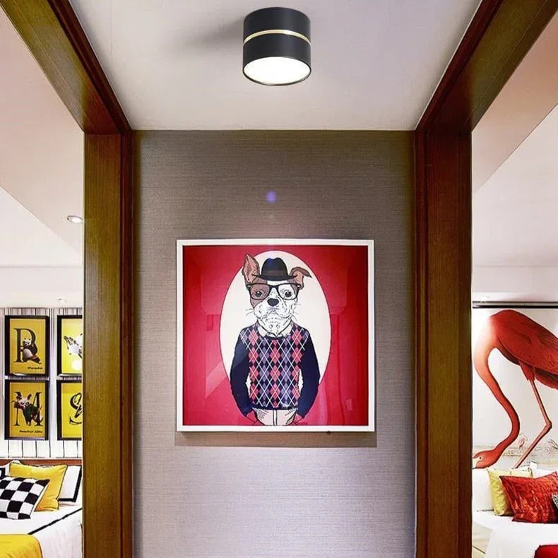 Valfeno Surface Mounted Downlight
