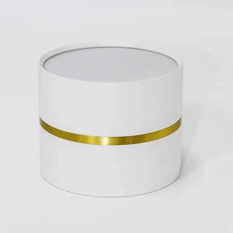 Valfeno Surface Mounted Downlight