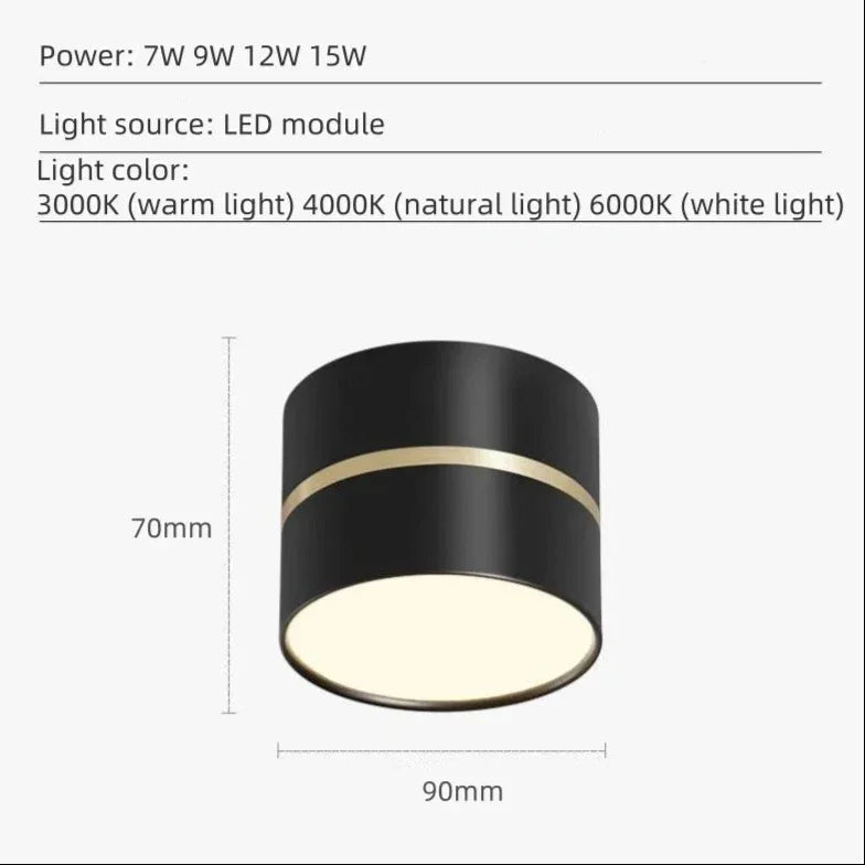 Valfeno Surface Mounted Downlight