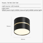 Valfeno Surface Mounted Downlight