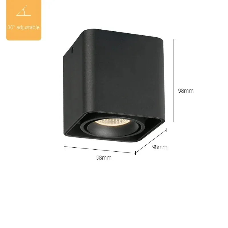 Valfyra Surface Mounted Downlight