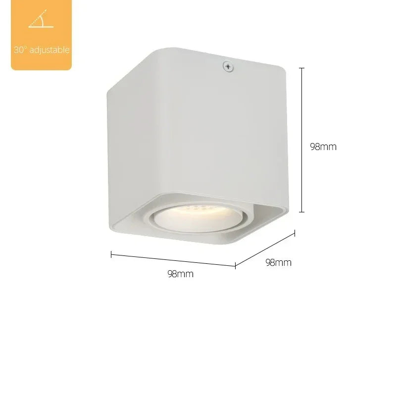 Valfyra Surface Mounted Downlight