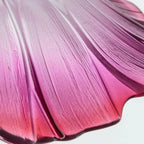 Wilrora Pendant Lamp