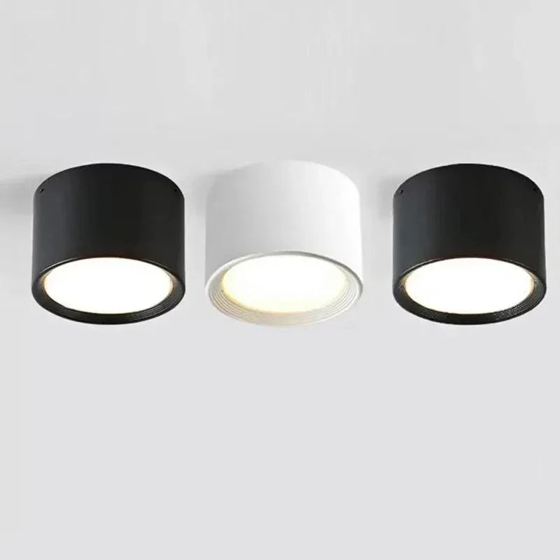 Yelduna Surface Mounted Downlight