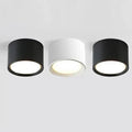 Yelduna Surface Mounted Downlight