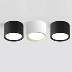 Yelduna Surface Mounted Downlight