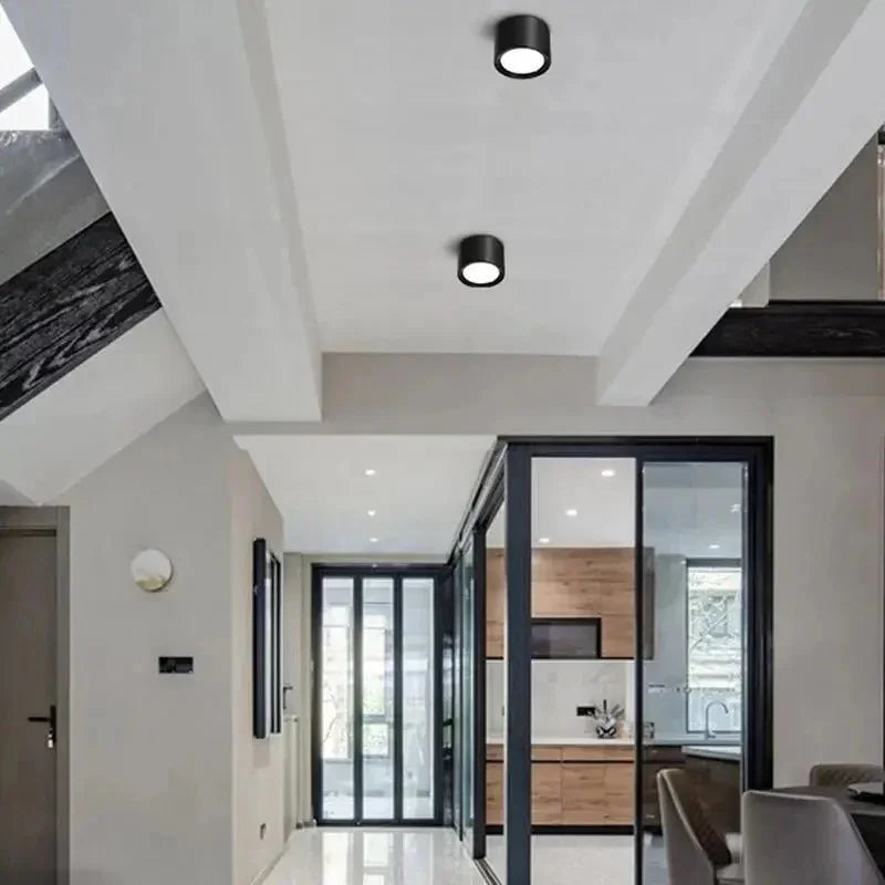 Yelduna Surface Mounted Downlight
