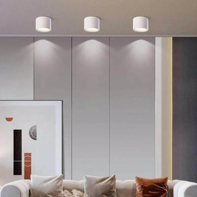 Yelduna Surface Mounted Downlight