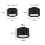 Yelduna Surface Mounted Downlight