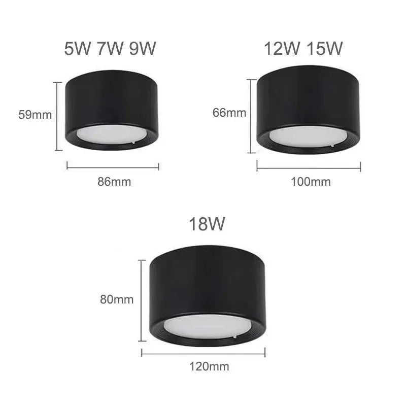 Yelduna Surface Mounted Downlight